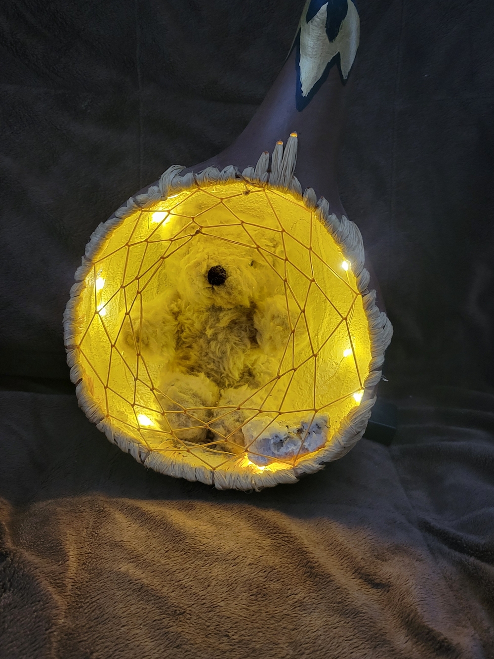Hand Painted Gourd With Teddy  Night Light. Unique. One Of A Kind. Handmade